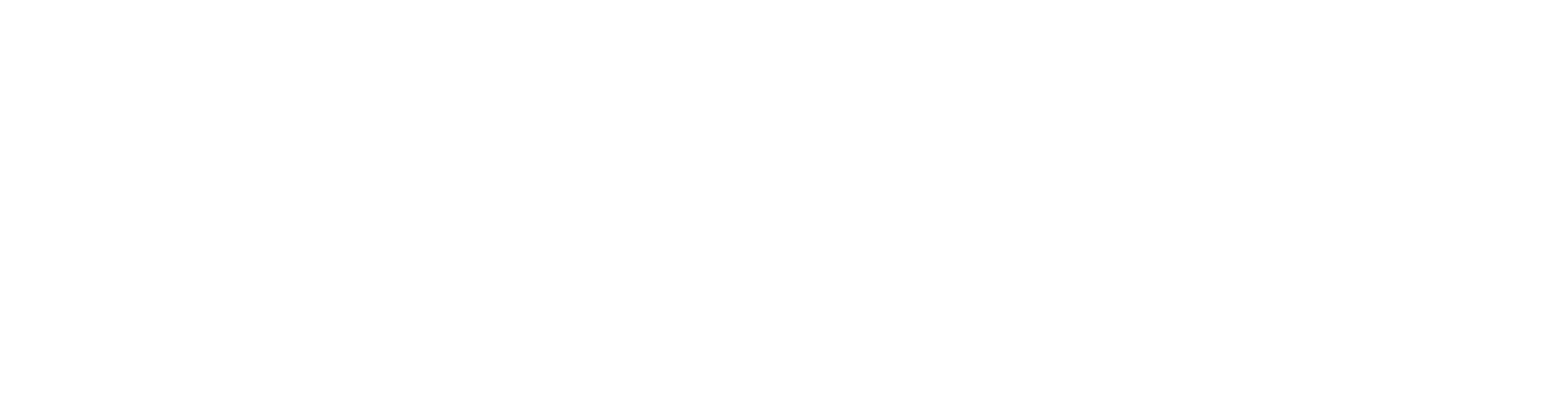 RavenVista Logo